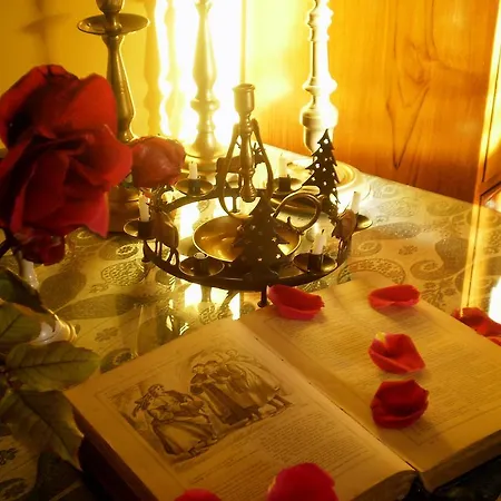 Hotel Boutique Alicia Carolina 2*