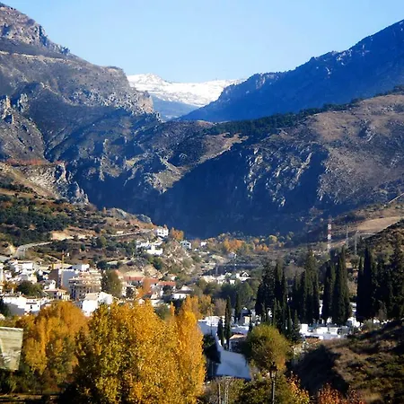 Boutique Alicia Carolina Hotel