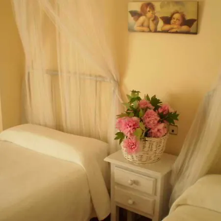 Boutique Alicia Carolina 莫纳奇尔