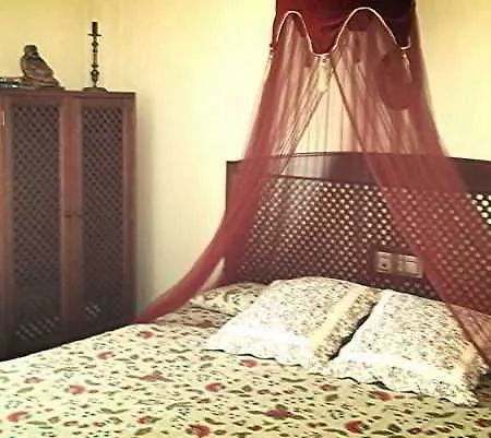 Boutique Alicia Carolina
